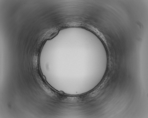 X0000111480057200908111211