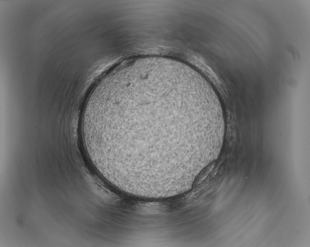 X0000111480058200908111211