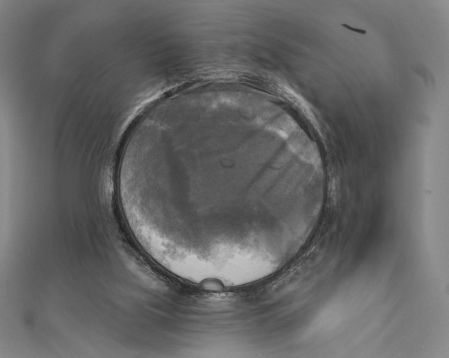 X0000111480059200908111211