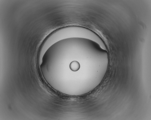 X0000111480060200908111211