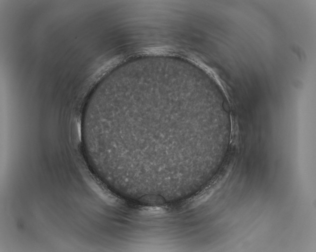 X0000111480061200908111211
