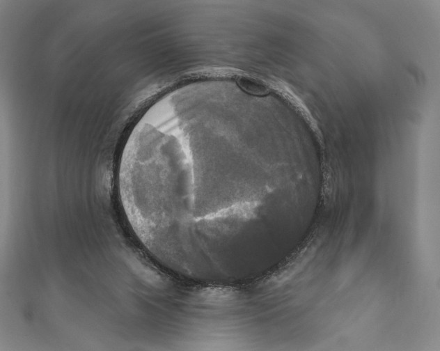 X0000111480063200908111211