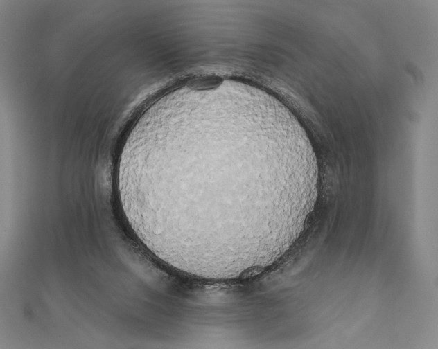 X0000111480064200908111211