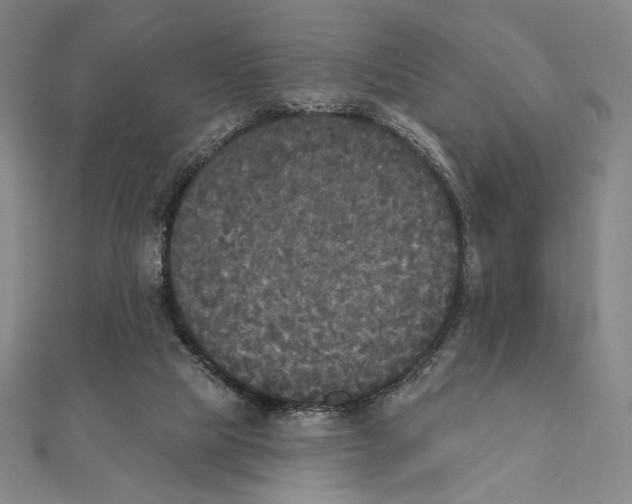 X0000111480065200908111211