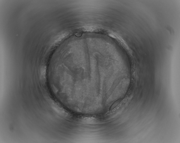 X0000111480066200908111211