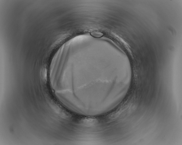 X0000111480067200908111211