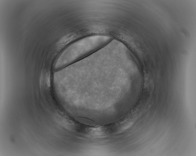 X0000111480068200908111211