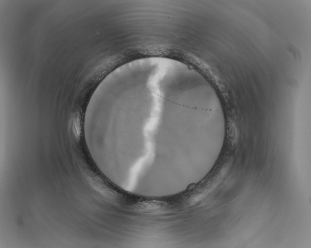 X0000111480069200908111211
