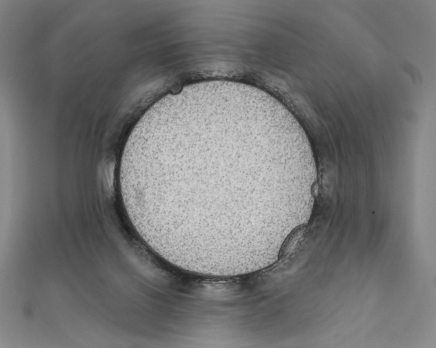 X0000111480070200908111211
