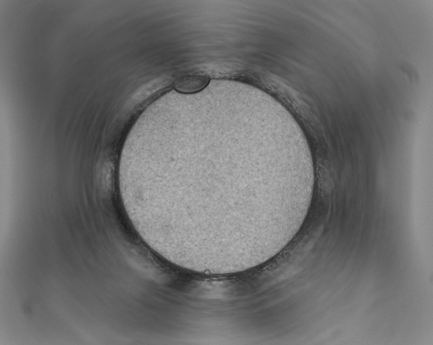X0000111480071200908111211