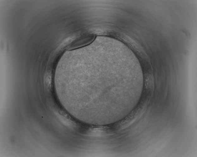 X0000111480072200908111211