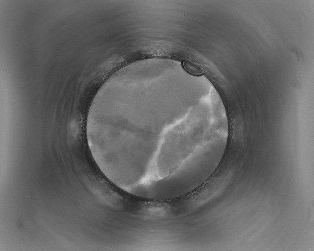 X0000111480073200908111211