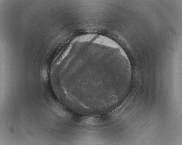 X0000111480074200908111211