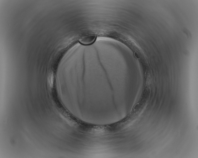 X0000111480076200908111211