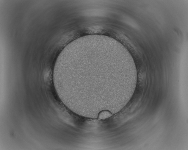X0000111480079200908111211