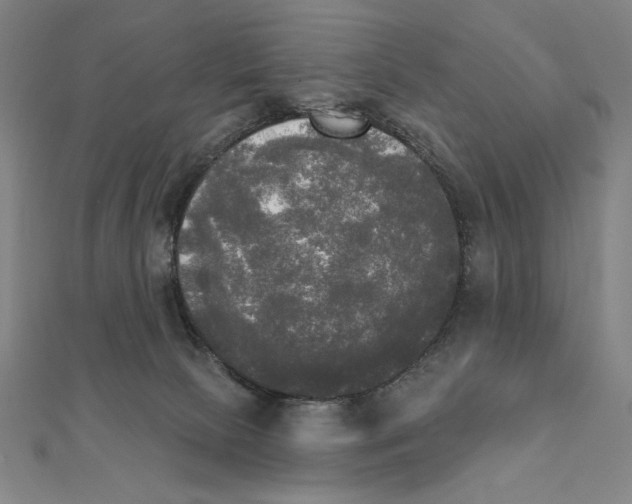 X0000111480081200908111211
