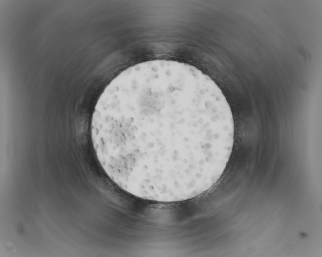 X0000111480082200908111211