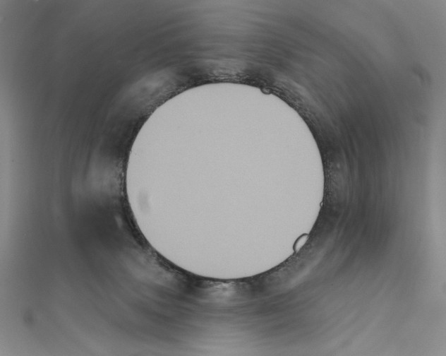 X0000111480083200908111211