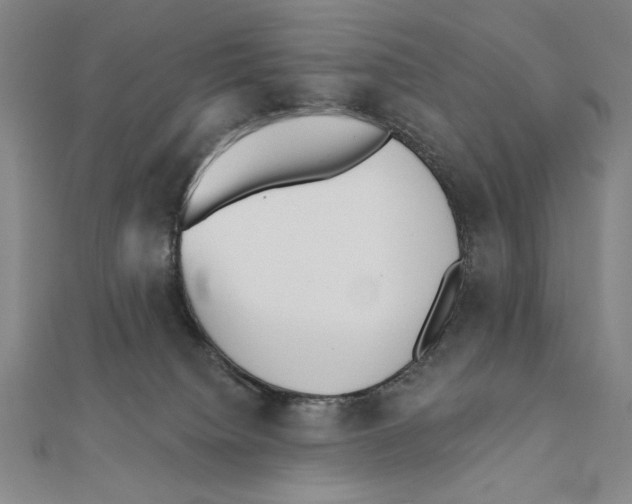 X0000111480084200908111211
