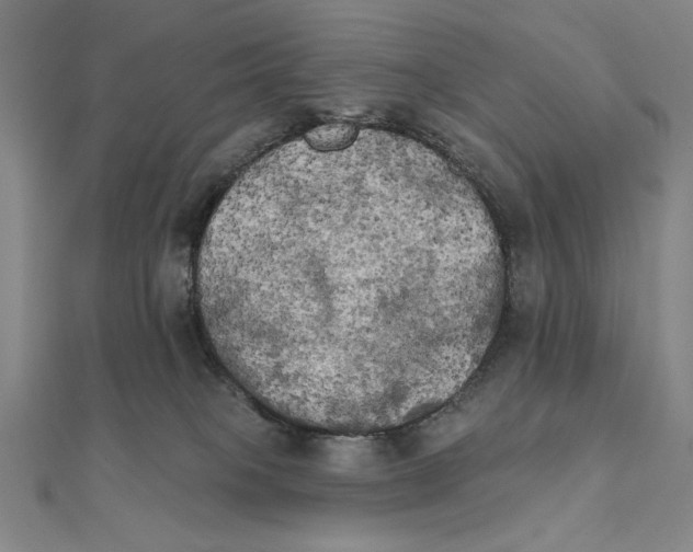 X0000111480085200908111211