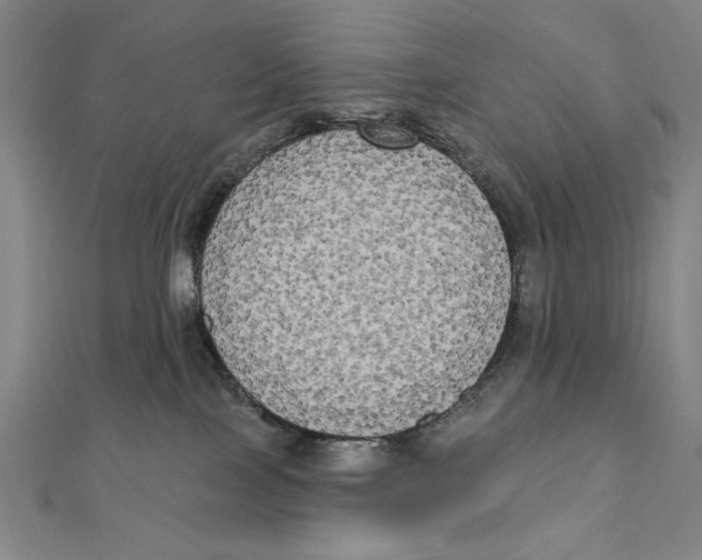 X0000111480089200908111211