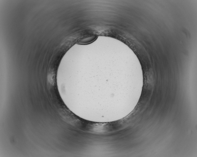 X0000111480090200908111211