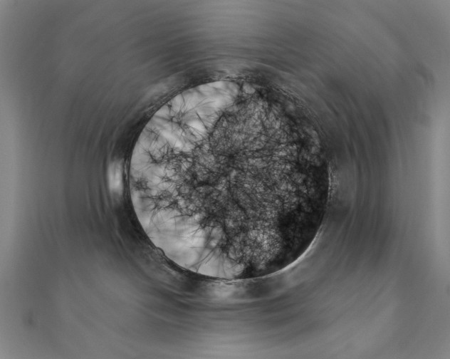 X0000111480094200908111211