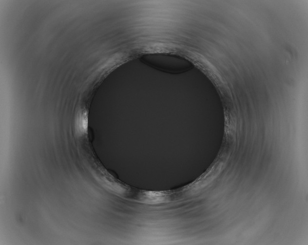 X0000111480095200908111211