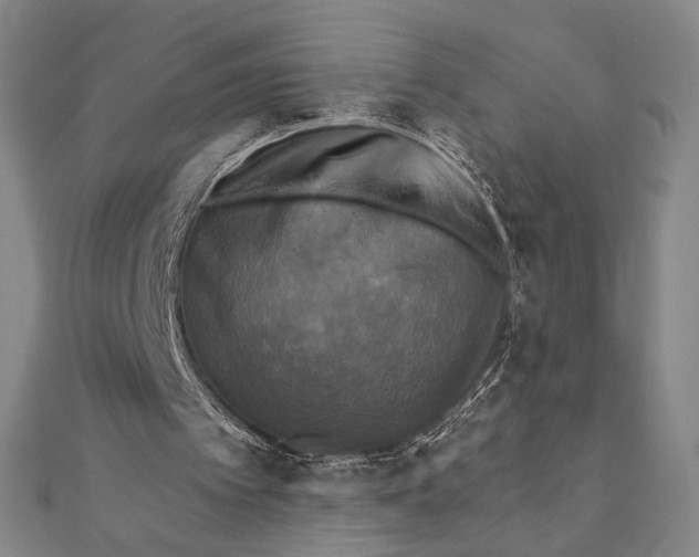 X0000111480097200908111211