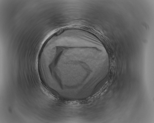 X0000111480100200908111211