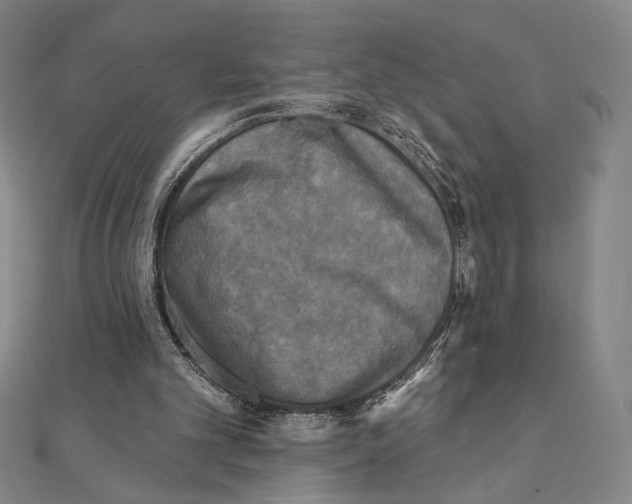 X0000111480101200908111210