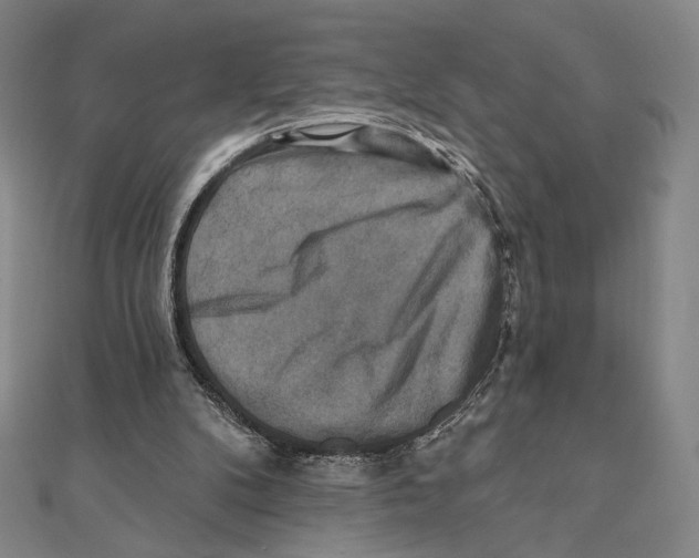 X0000111480104200908111210