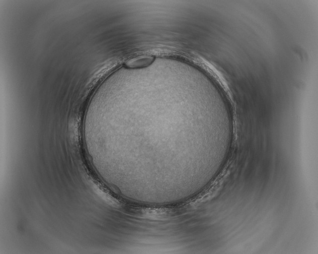 X0000111480105200908111210