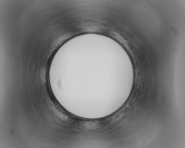 X0000111480106200908111210