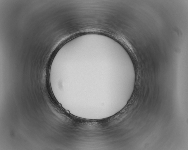 X0000111480108200908111210