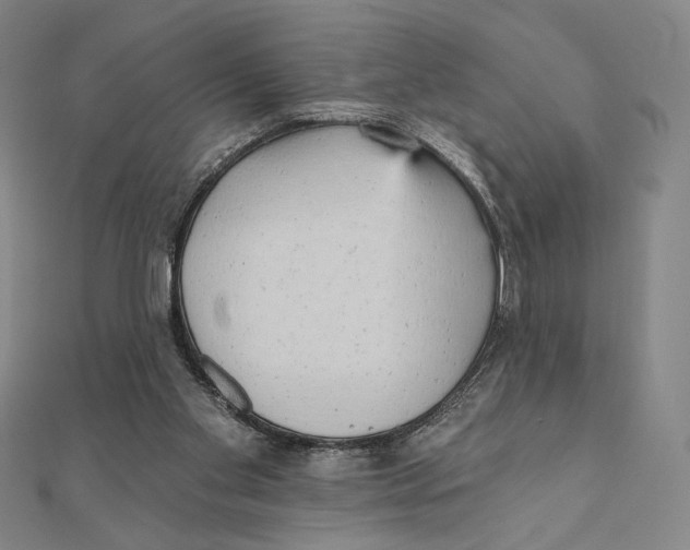 X0000111480109200908111210