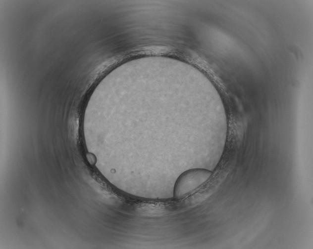 X0000111480110200908111210