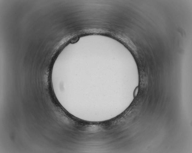 X0000111480111200908111210