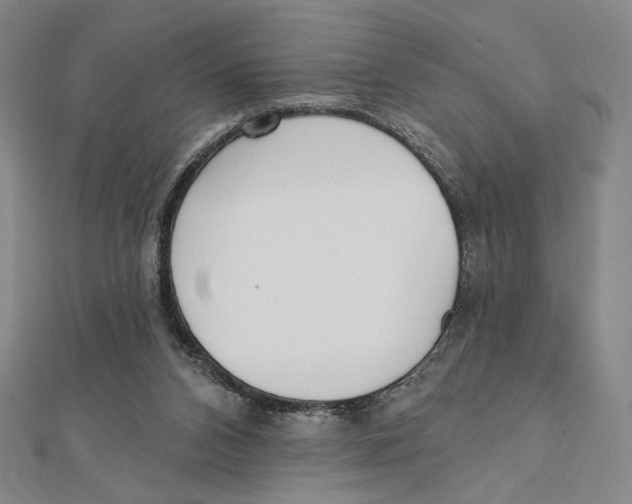X0000111480112200908111210