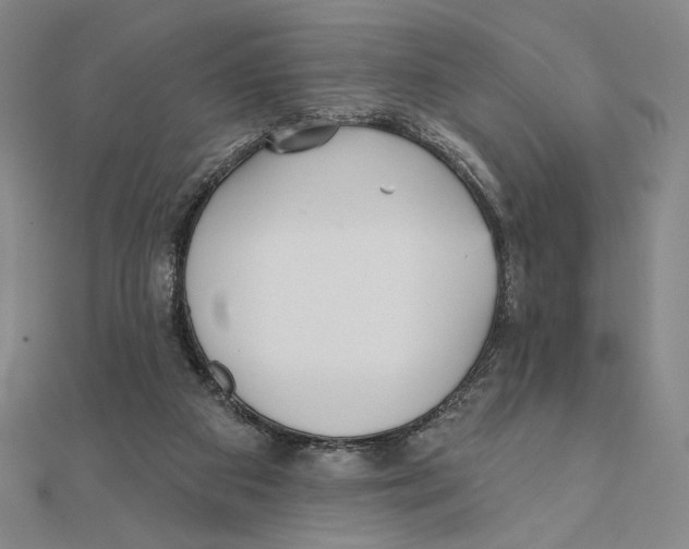 X0000111480113200908111210