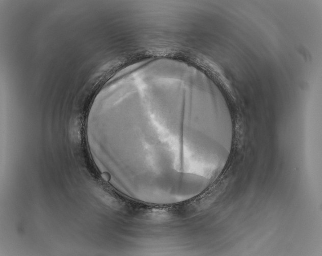 X0000111480114200908111210