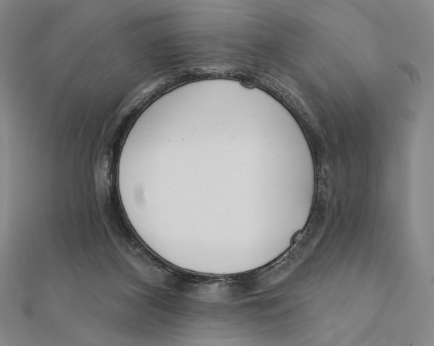 X0000111480116200908111210