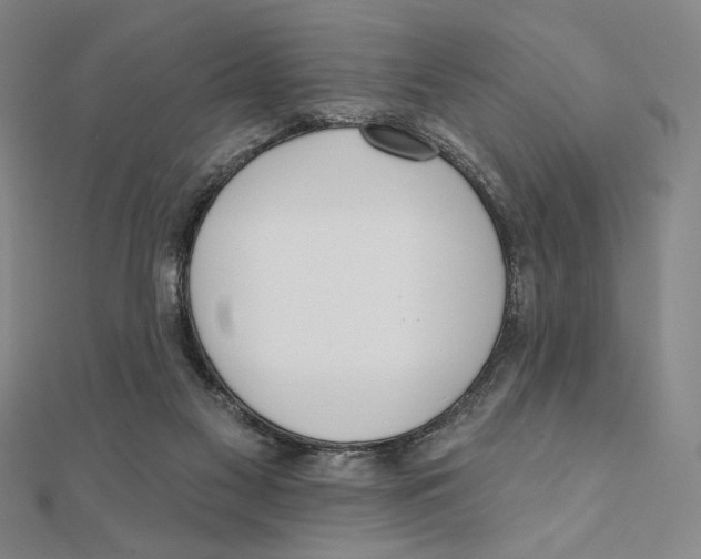 X0000111480117200908111210