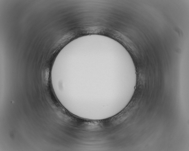 X0000111480118200908111210