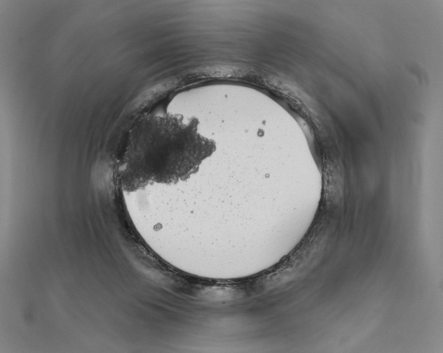 X0000111480119200908111210