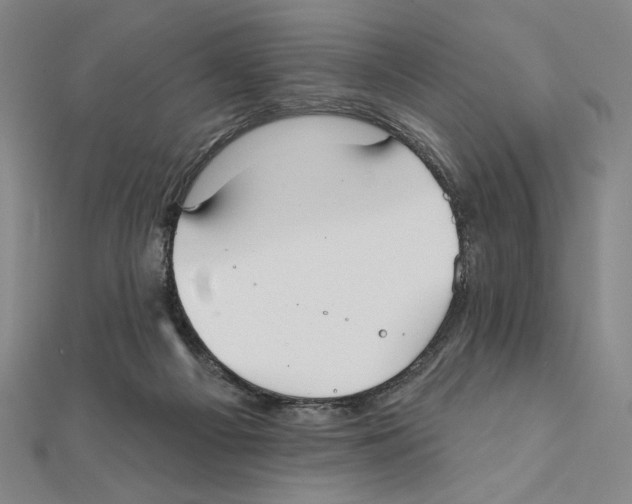 X0000111480121200908111210