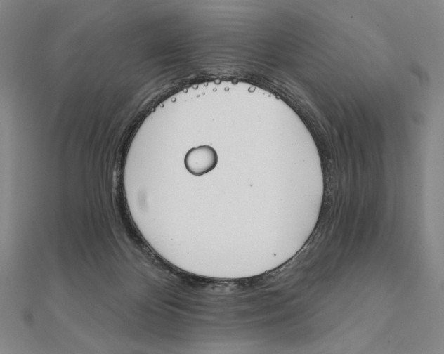 X0000111480124200908111210