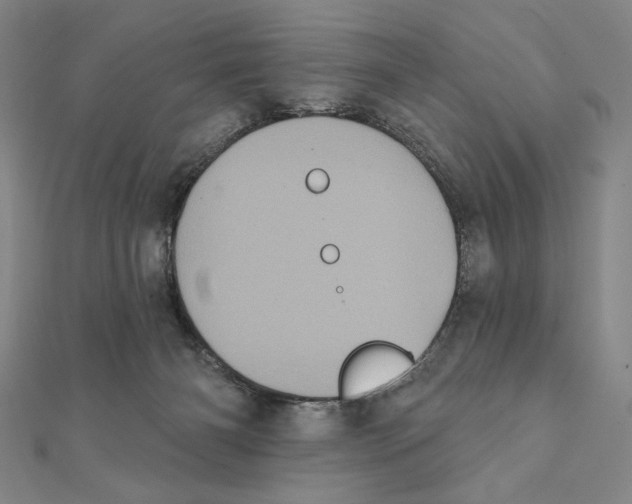 X0000111480126200908111210