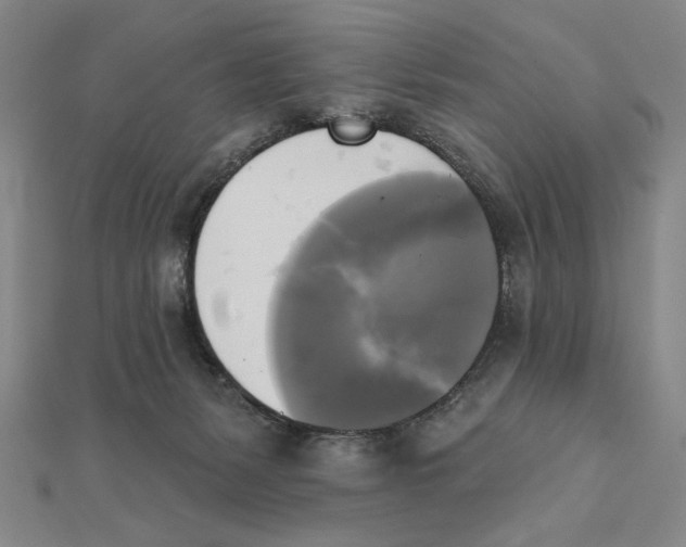 X0000111480127200908111210