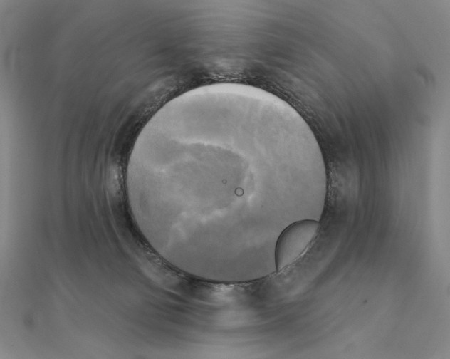 X0000111480130200908111210